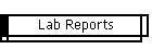 Lab Reports