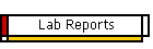 Lab Reports