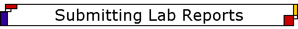 Submitting Lab Reports