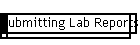 Submitting Lab Reports