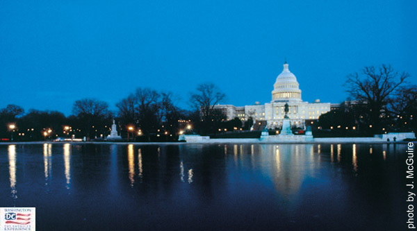 Capitol at Night