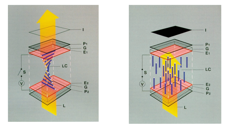 Liquid Crystal Display